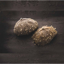 Pearl Drop Flapper Pouch